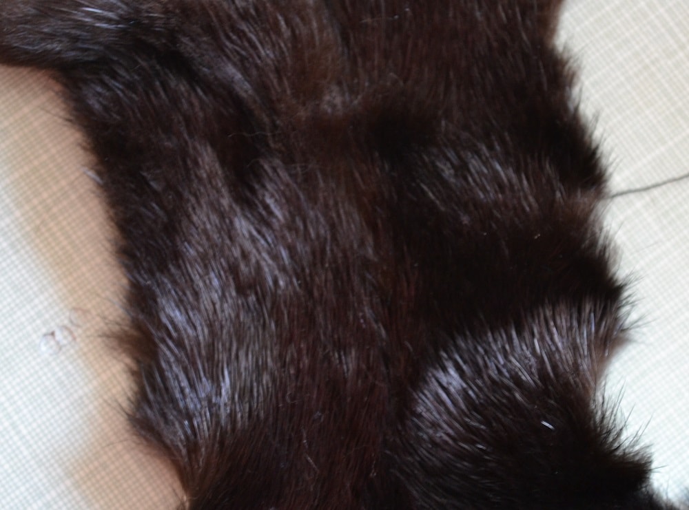 Comb the furs hair