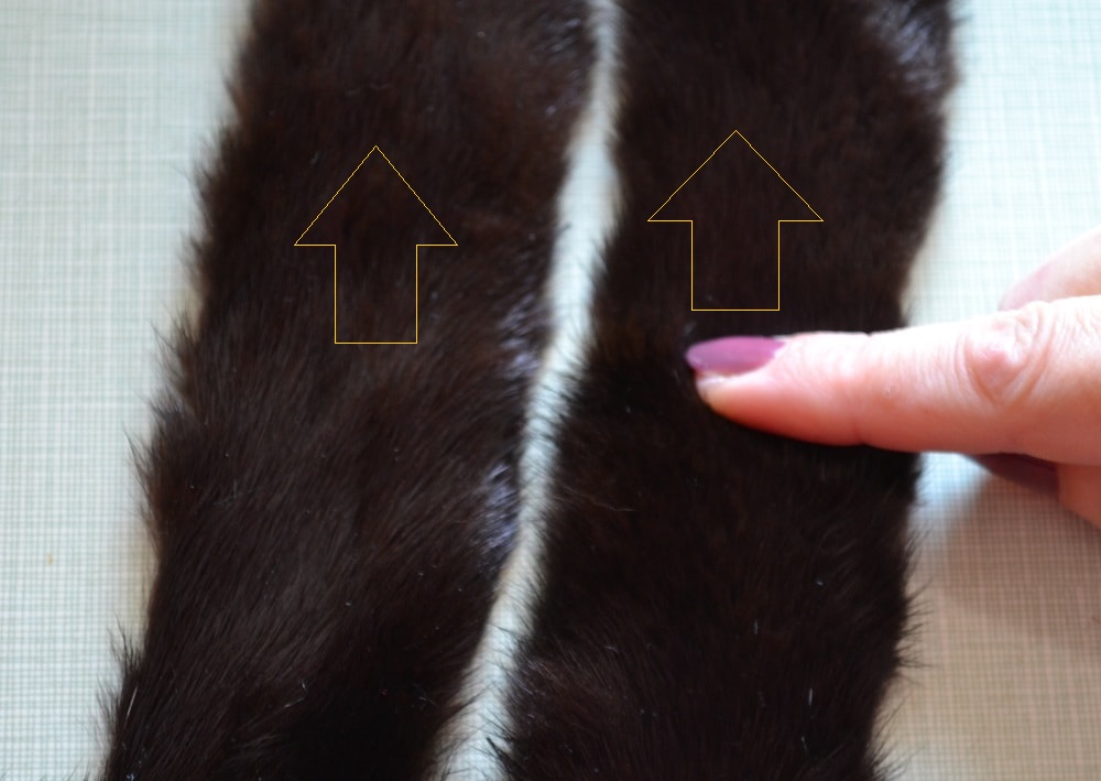 Directions of fur hairs