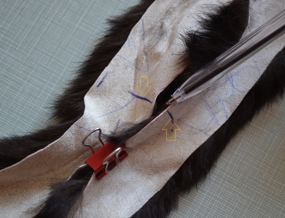 Draw points on both edges of furs