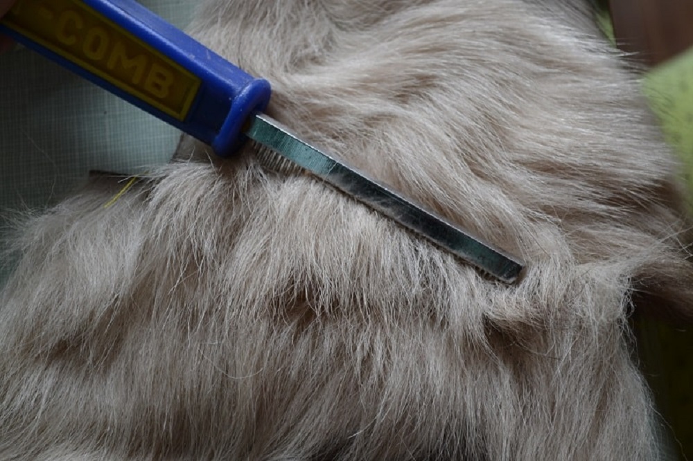 Dog brushes for combing furs