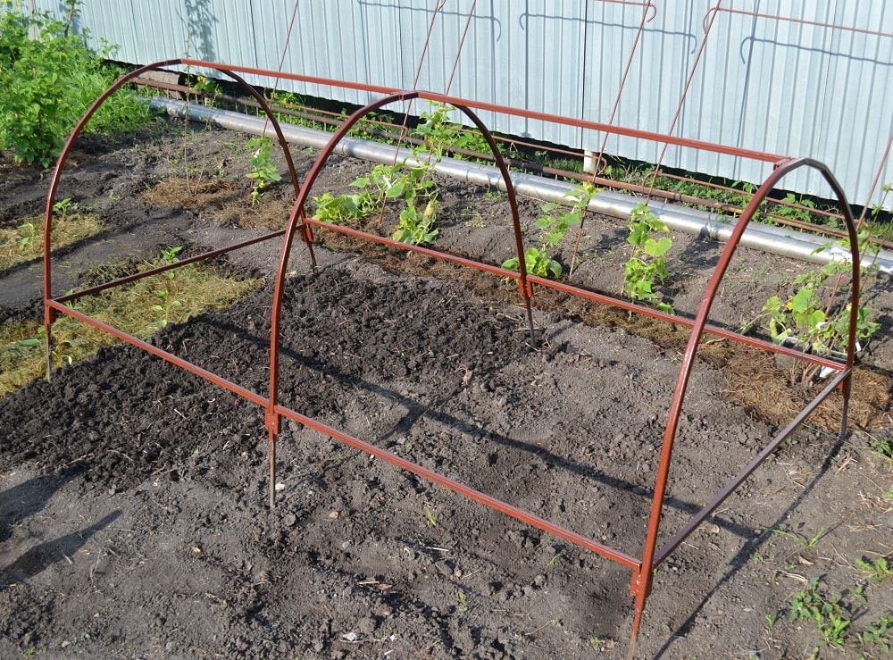 Big metal frame of greenhouse having three arcs