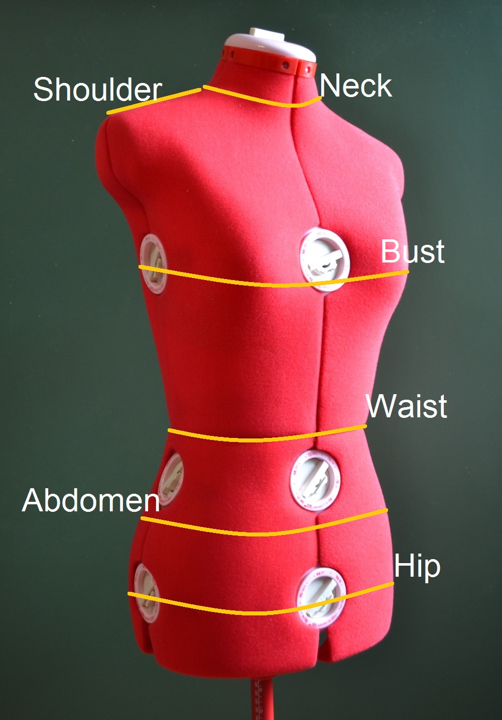 Front body measurements