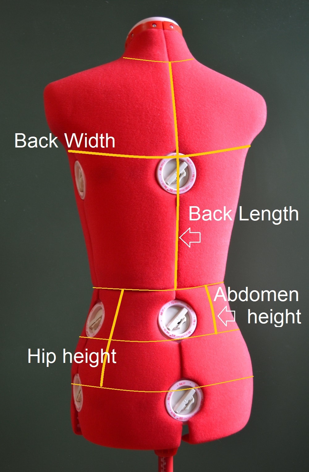 Back body measurements