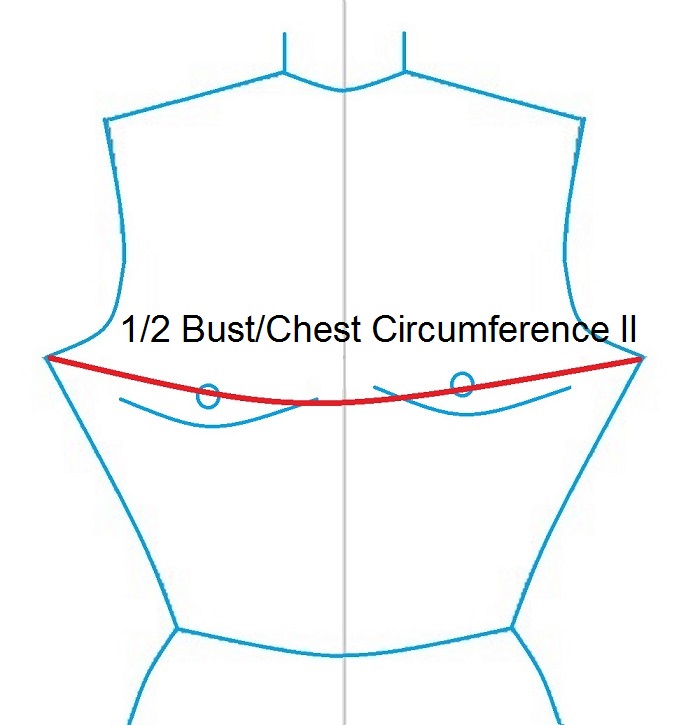 1/2 Bust/Chest Circumference II